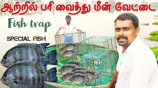 Fishing | பரி வைத்து மீன் பிடித்தல் #fishing #fishingvideo #fishtrap #food #foodie