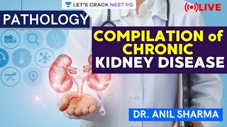 Compilation of Chronic Kidney Disease | NEET PG 2021 | Dr. Anil Sharma