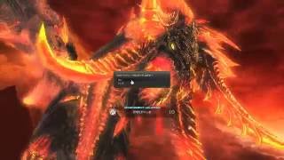 【FF14】極ニーズヘッグ征竜戦　戦士視点