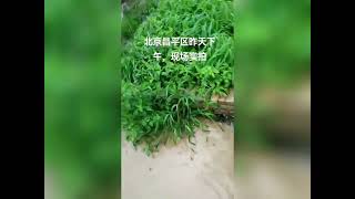 2023-07-31 北京 河北地区暴雨 门头沟 房山等地爆发洪水 热点视频合集