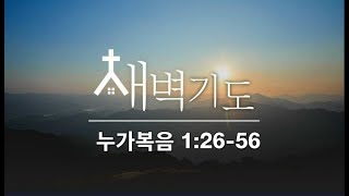 [포항큰숲교회] 25.2.9 새벽기도회