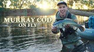 Murray Cod on Fly | Three Day Solo Float Trip