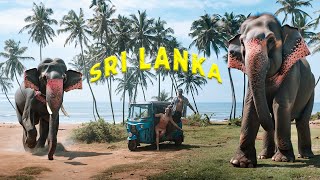 Sri Lanka Unfiltered: Elephants, Tuk-Tuks \u0026 Epic Adventures!