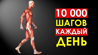 Что Произойдет с Телом, Если Ходить 10000 Шагов Каждый День