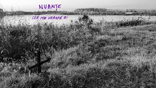 Nuanțe - Cea Mai Neagră Zi (Official Audio)