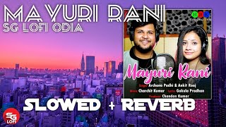 Mayuri Rani Slowed and Reverb Song | New Sambalpuri Lofi Song|Ankit Raaj \u0026 Archana Padhi