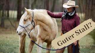 Der perfekte Stall? (#Stallsorgen) | Serenity Horses