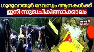 Guruvayur Aanakkotta | ഗുരുവായൂർ ദേവസ്വം ആനകൾക്ക് ഇനി സുഖചികിത്സാക്കാലം