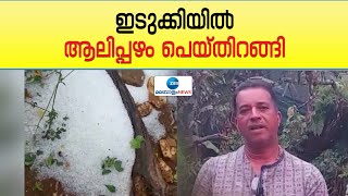 Aalippazham in Idukki | ഇടുക്കിയില്‍ വേനല്‍ മഴയ്‌ക്കൊപ്പം വന്‍ തോതില്‍ ആലിപ്പഴം പെയ്തിറങ്ങി