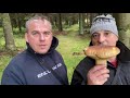 grzyby podgrzybki boletes 2021 r . mega grzyby. podgrzybki rosną jak po deszczu. boletes .