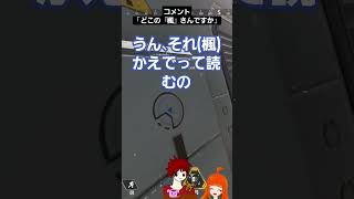 【漢字読めないシリーズ】Apex参加型の配信中による雑談にて。「楓」と「柳」を間違える女。#shorts #short #apex #apexlegends #エーペックス #配信切り抜き #漢字