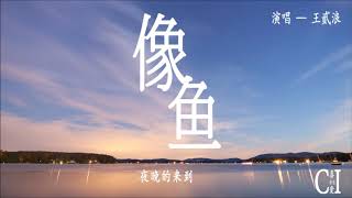 像鱼~王贰浪 『我要记住你的样子 , 像鱼记住水的拥抱』【动态歌词】Like Fish