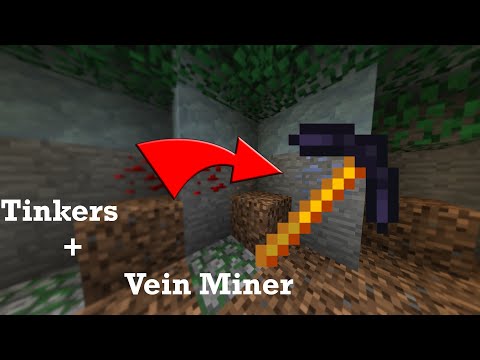 Is there Veinminer in StoneBlock?