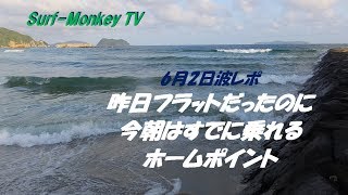 昨日フラットが今朝はもう乗れる 6月2日 ありがたいホームポイント ~サーフモンキーTV