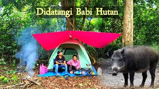 Camping di hutan rimba,Terbangun sa'at  mendengar suara babi menghampiri tenda,takut keluar tenda.