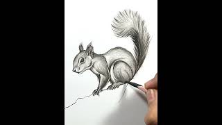 Squirrel on a Branch || Charcoal Drawing Tutorial ASMR ||
