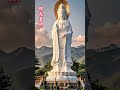 南無阿彌陀佛 許個願吧 心誠則靈 有求必應 南無阿彌陀佛 namoamitabha 나모아미타불 南無阿弥陀仏 नमोअमिताभ 修心 佛 shorts 佛教