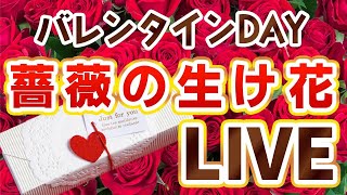 【LIVE】バレンタイン！薔薇の生け花を皆さんにお届け！