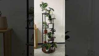 Rotating plant stand, bring joy to your home. #houseplants #plants #plantlover #interior #homedecor