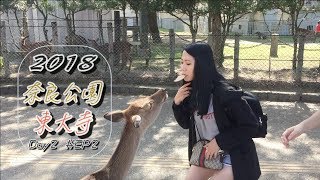 大阪關西自由行『奈良公園︱ 東大寺』Osaka Vlog 2018 EP2