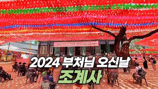 2024 부처님 오신 날을 앞둔 서울 종로 조계사의 화려한 연등과 기도법회 Lotus lanterns of Jogye Temple in Seoul