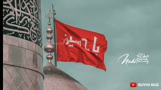 Jinki Maa Fatima Jinke Baba Ali | Youm e Ashura Status | Razviya Raza