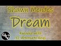 Dream Karaoke - Shawn Mendes Instrumental Cover Lower Higher Female Original Key