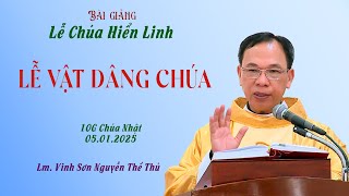 LỄ VẬT DÂNG CHÚA / bải giảng lễ Chúa Hiển Linh / Lm. Vinh Sơn Nguyễn Thế Thủ