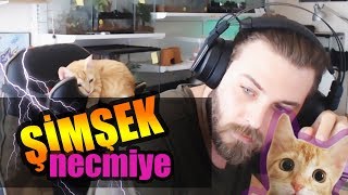 ŞİMŞEK NECMİYE - YENİ EVCİL DOST