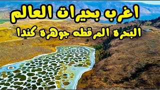 البحيرة المرقطة اغرب بحيرات العالم في كندا