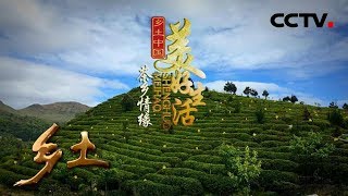 《乡土》 乡土中国美好生活 茶乡情缘 20180613 | CCTV农业