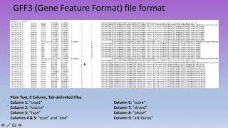 Bioinformatics Lecture15: Genome Annotation: Genetic Element Prediction