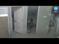 watch leopard enters gandhinagar hospital