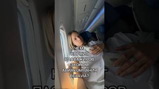 Чем кормит Belavia?