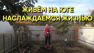 465ч Осенний сад на юге/Жизнь на юге России/Переехали на юг