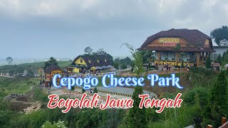 Cepogo Cheese Park Boyolali