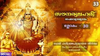 സൗന്ദര്യലഹരീ - ഭാഷാവ്യാഖ്യാനം | ശ്ലോകം - 30 | സ്വാമി ഹരിബ്രഹ്മേന്ദ്രാനന്ദ തീർത്ഥ