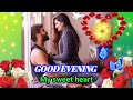 🌹good evening status 🌺 good evening love status 💐 romantic status