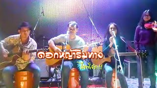 [ Live ] อยากให้อยู่ตรงนี้นานๆ - ดอกหญ้าริมทาง [ เพลงยอดฮิต ของ ดอกหญ้าริมทาง ]