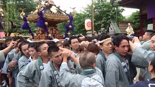 【神輿】ド迫力！！浅草『三社祭 2015』浅草神社前①～Sanja Matsuri 2015/5/16