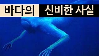 (랭킹박스) 바다의 신비한 사실