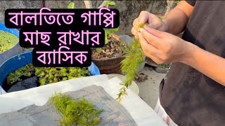 how to setup a bucket for guppies. (bd/bangla/বাংলা) basic