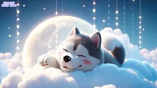 Gentle Sleep Music 💤 Forget Negative Thoughts 😴 Stress Relief Music, Relaxing Sleep Music