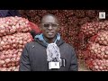 Traders in Marikiti market Nairobi explain high cost of onions.