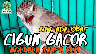 Playtube Pk Ultimate Video Sharing Website