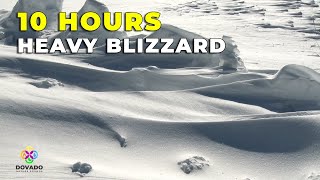 Heavy Blizzard Snowstorm┇Intense Howling Wind & Blowing Snow┇Sleep Sounds for Tinnitus Relief