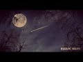 Paradisia - Silent Lover
