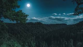 Nighttime ambient sounds, cricket, swamp sounds at night, meditation sounds for sleep and relaxation