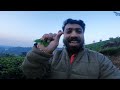 a walk through tea estate