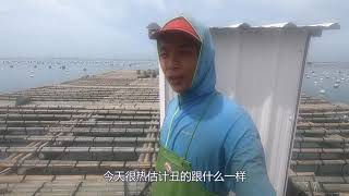 小伙用自制“捕鱼神器”抓鱼，收获满满，一次能抓上百条鱼